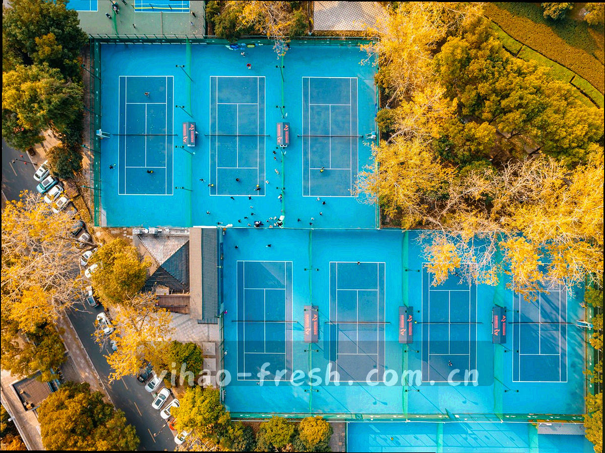 壹号网页端与移动端界面在不同屏幕上层叠展示的抽象渲染图
